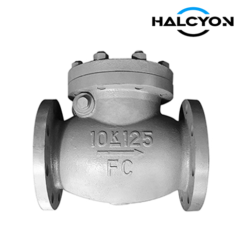 JIS F7373 Cast Iron Swing Check Valve